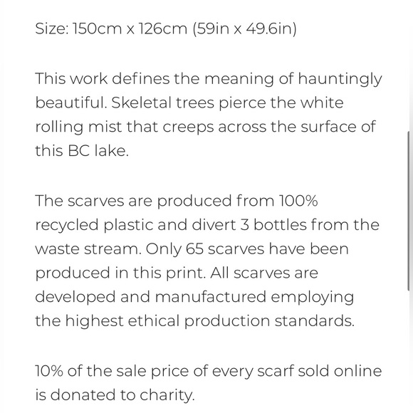 Beautiful Infocus Scarf - Picture 4 of 6